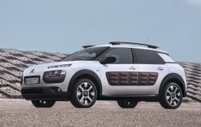 Boot mats for C4 Cactus Type 1